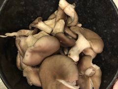 -哥老官重庆美蛙鱼头(宝山龙湖店)