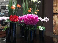-上海西藏大厦万怡酒店