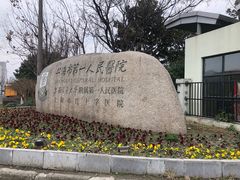 -上海市第一人民医院(松江南部)