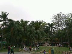 -金砂公园
