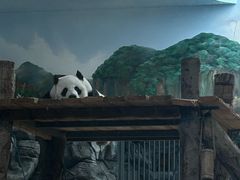 -武汉动物园