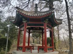 -近春园遗址