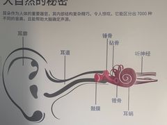 -宁耳听力助听器奥迪康·峰力·西门子(宝山店)