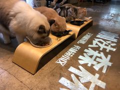 -咖法森林·咖啡  酒吧(天河店)