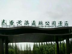 -黄海国家森林公园