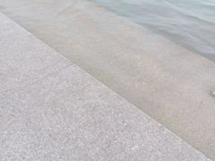 -金鸡湖桃花岛