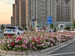 -万达茂商场(南京仙林店)