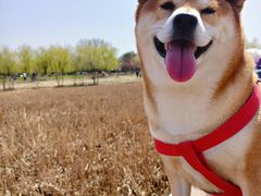 -绿堤公园