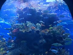 -多彩贵州城极地海洋世界