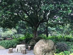 -玉树公园