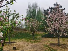 -元大都城垣遗址公园