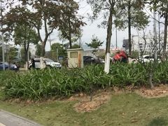-小洲村