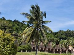 -林旺社区水果市场