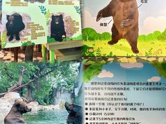 -广州长隆野生动物世界