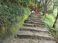 -西华公园