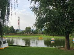 -羊亭河湿地公园