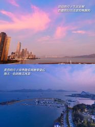 -巍阁月子中心(南山店)