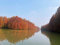 -上海海湾国家森林公园