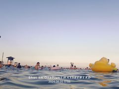 -碧海金沙