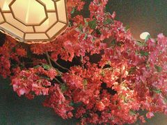 -新盈光·心院(嘉恒广场店)