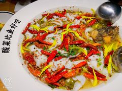 -太二酸菜鱼(石家庄万象城店)