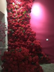 -戛纳印象摄影(潮拍定制馆)