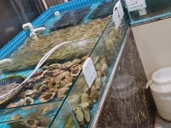 -渡海小渔村.老辈日照菜