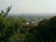 -上海佘山国家森林公园西佘山园