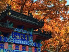 -红螺寺