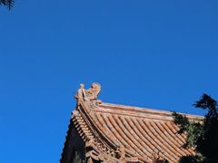 -颐和园