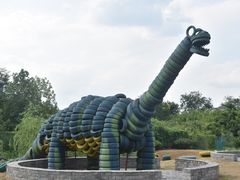 -中国扬子鳄村