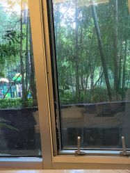 -馨月汇·一悦馨香月子中心(前滩店)