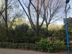 -森林公园(尖草坪区)