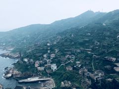 -枸杞岛