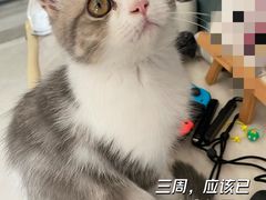 -希望动物医院(汉阳院)