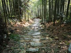 -众神白水涧景区