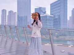 -梅溪湖城市岛