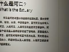 -上海长江河口科技馆