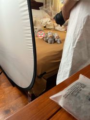-玛瑞莎孕婴童摄影到家拍