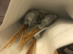 -盟重烧烤(高正街店)