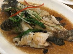 -莲花公园煎蟹(总店)