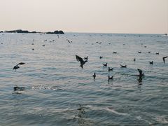 -老虎石海上公园