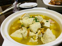 河蚌肉烧老豆腐-新虹楼饭庄(崇明陈家镇店)