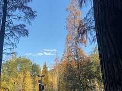 -天花井景区