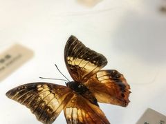 -中国湿地博物馆