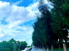 -宝安西湾红树林湿地公园