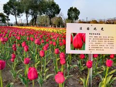 -院士公园