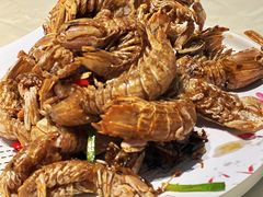 椒盐皮皮虾-烧货·活海鲜炭烧(湖滨商业街店)