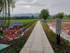 -长兴太湖图影湿地文化园