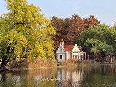 -上海共青森林公园